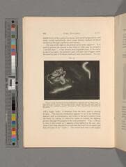 Go to image 112.