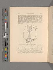 Go to image 116.
