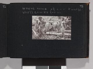 Go to image 75.