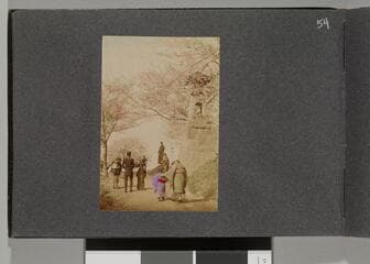 Go to image 56.