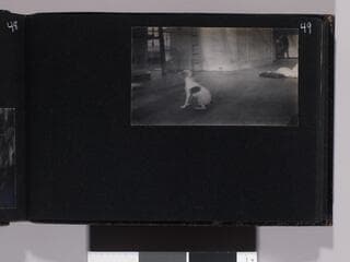 Go to image 59.