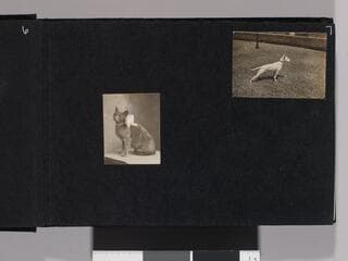 Go to image 9.