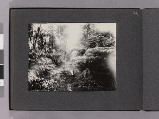 Go to image 26.