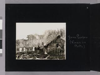 Go to image 8.