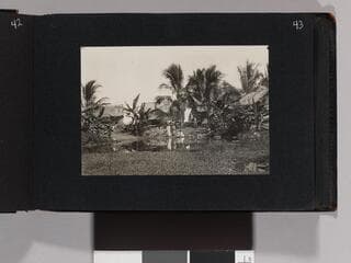 Go to image 45.