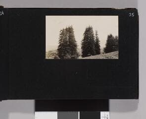 Go to image 27.