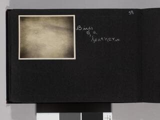 Go to image 40.