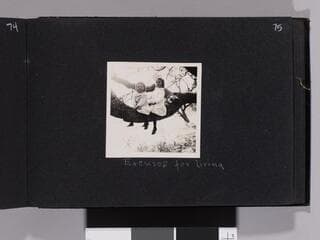 Go to image 77.