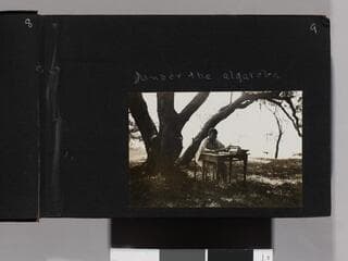 Go to image 11.