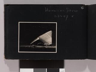 Go to image 44.