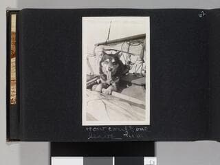 Go to image 64.