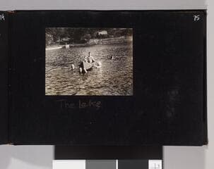 Go to image 77.