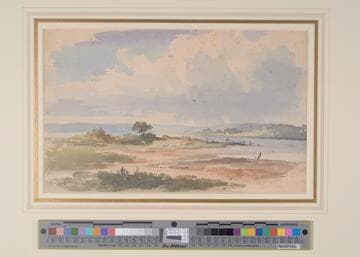 Estuary
