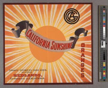 California Sunshine
