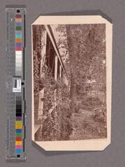 Go to image 1.