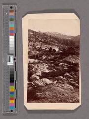 Go to image 1.