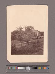 Go to image 1.