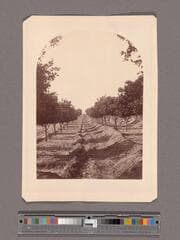 Go to image 1.