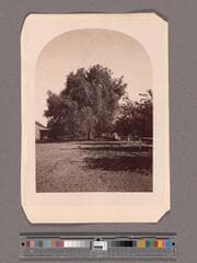 Go to image 1.