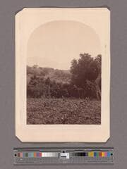 Go to image 1.