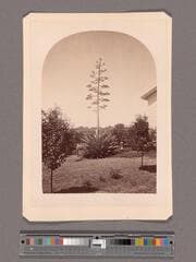 Go to image 1.