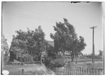 Distribution Lines