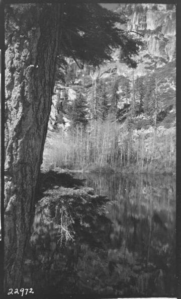 Big Creek Scenery