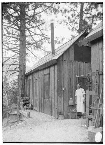 Union Power Co