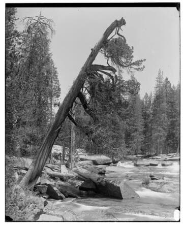 Big Creek Scenery