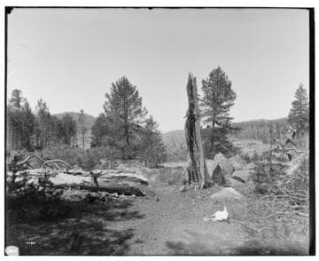 Big Creek Scenery
