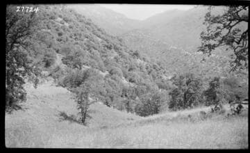 Kaweah #1