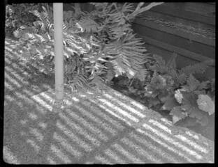 Go to image 3.