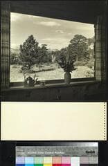 Go to image 9.