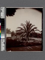 Go to image 1.