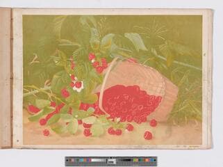Go to image 10.