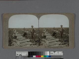 Go to image 1.