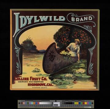 Idylwild Brand