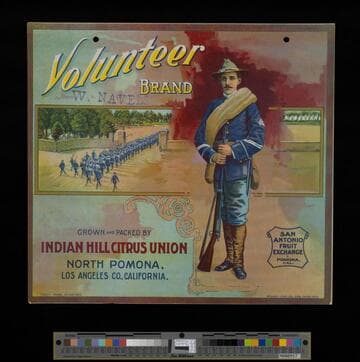 Volunteer brand