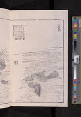 Go to image 264.