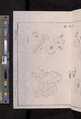 Go to image 231.