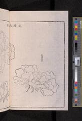 Go to image 234.