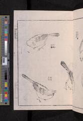 Go to image 253.