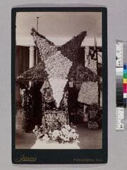 Go to image 1.