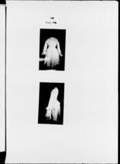 Go to image 252.