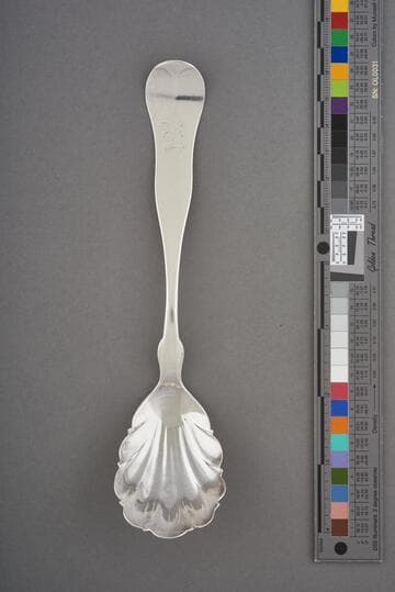 Sugar Spoon