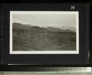Go to image 81.