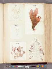 Go to image 47.