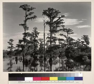 Louisiana