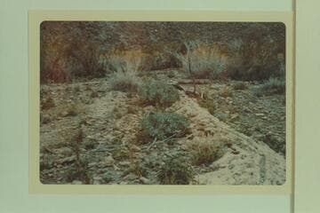 Travertine ditch in Quartermaster Canyon