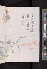 Go to image 122.
